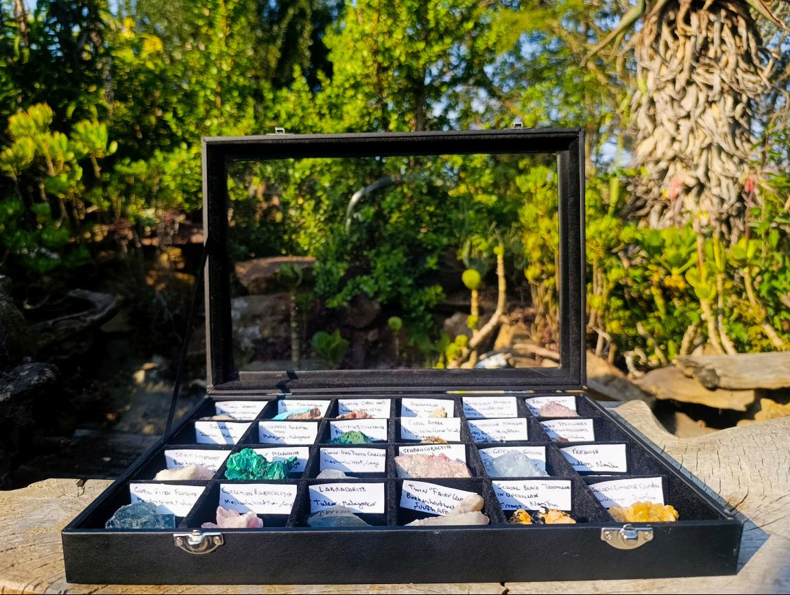 Natural Mix Set of 24 African Minerals and Crystals in a Black Wooden Display Case x 1 From Southern Africa