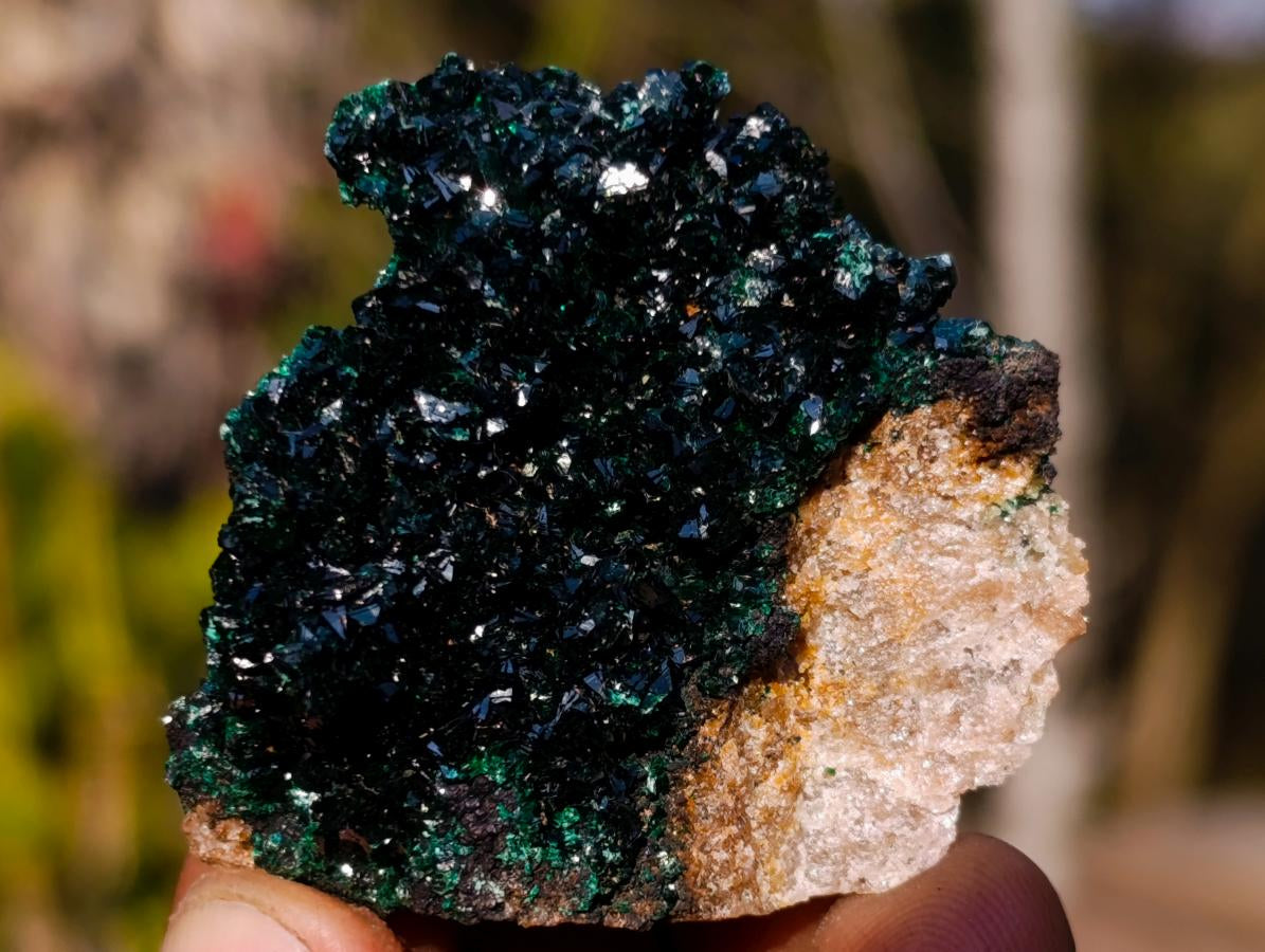 Natural Mix Set of 24 African Minerals and Crystals in a Black Wooden Display Case x 1 From Southern Africa