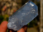Natural Mix Set of 24 African Minerals and Crystals in a Black Wooden Display Case x 1 From Southern Africa