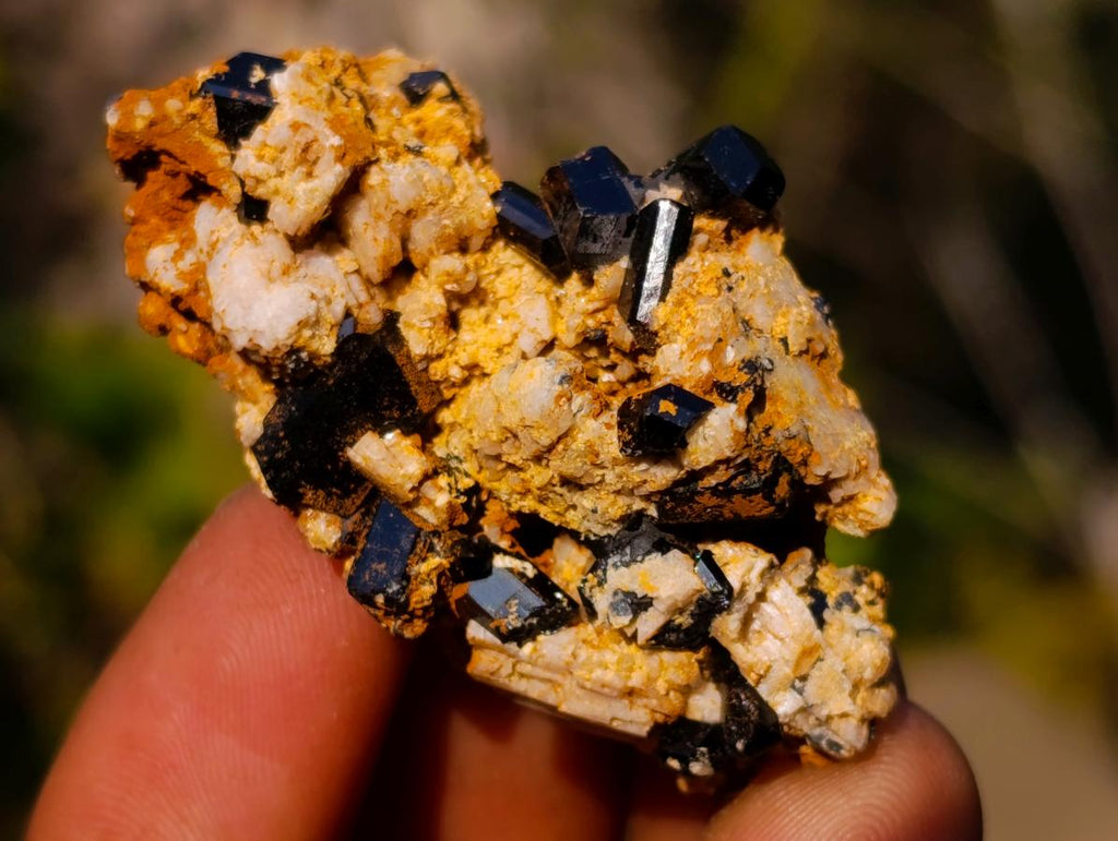 Natural Mix Set of 24 African Minerals and Crystals in a Black Wooden Display Case x 1 From Southern Africa