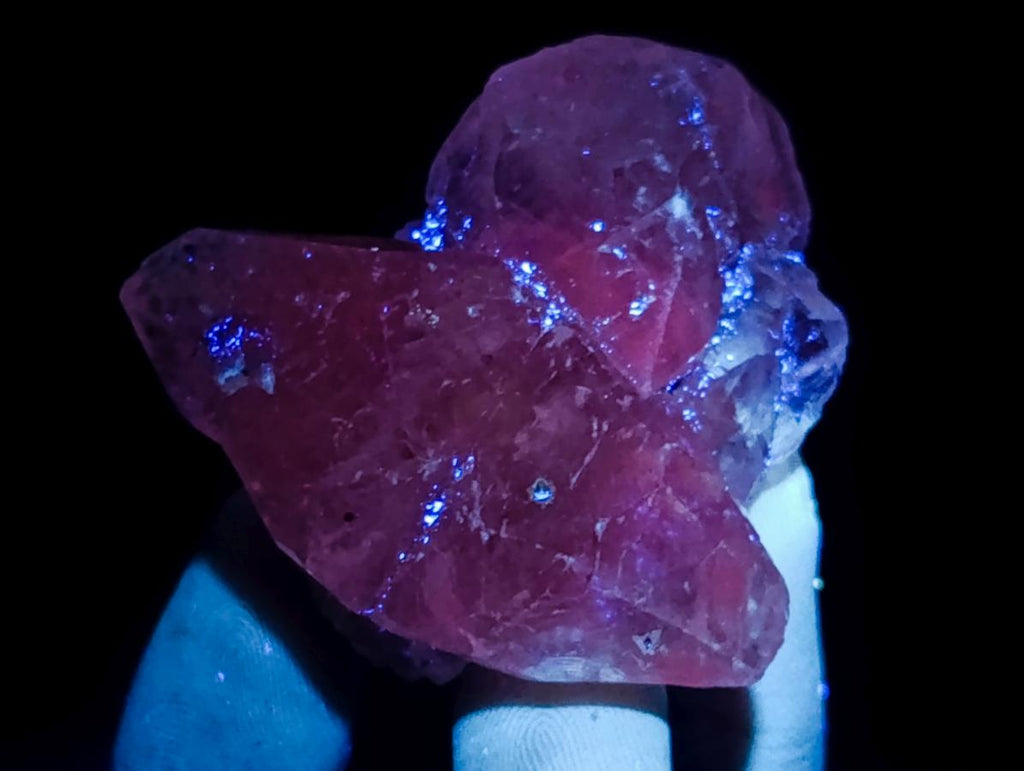 Natural Mix Set of 24 African Minerals and Crystals in a Black Wooden Display Case x 1 From Southern Africa