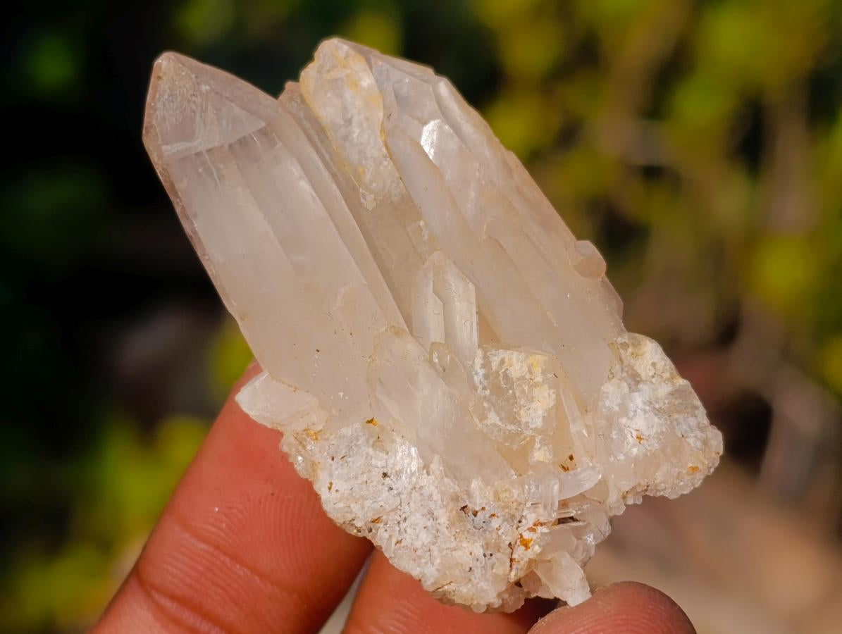 Natural Mix Set of 24 African Minerals and Crystals in a Black Wooden Display Case x 1 From Southern Africa