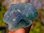 Natural Mix Set of 24 African Minerals and Crystals in a Black Wooden Display Case x 1 From Southern Africa
