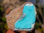 Natural Mix Set of 24 African Minerals and Crystals in a Black Wooden Display Case x 1 From Southern Africa
