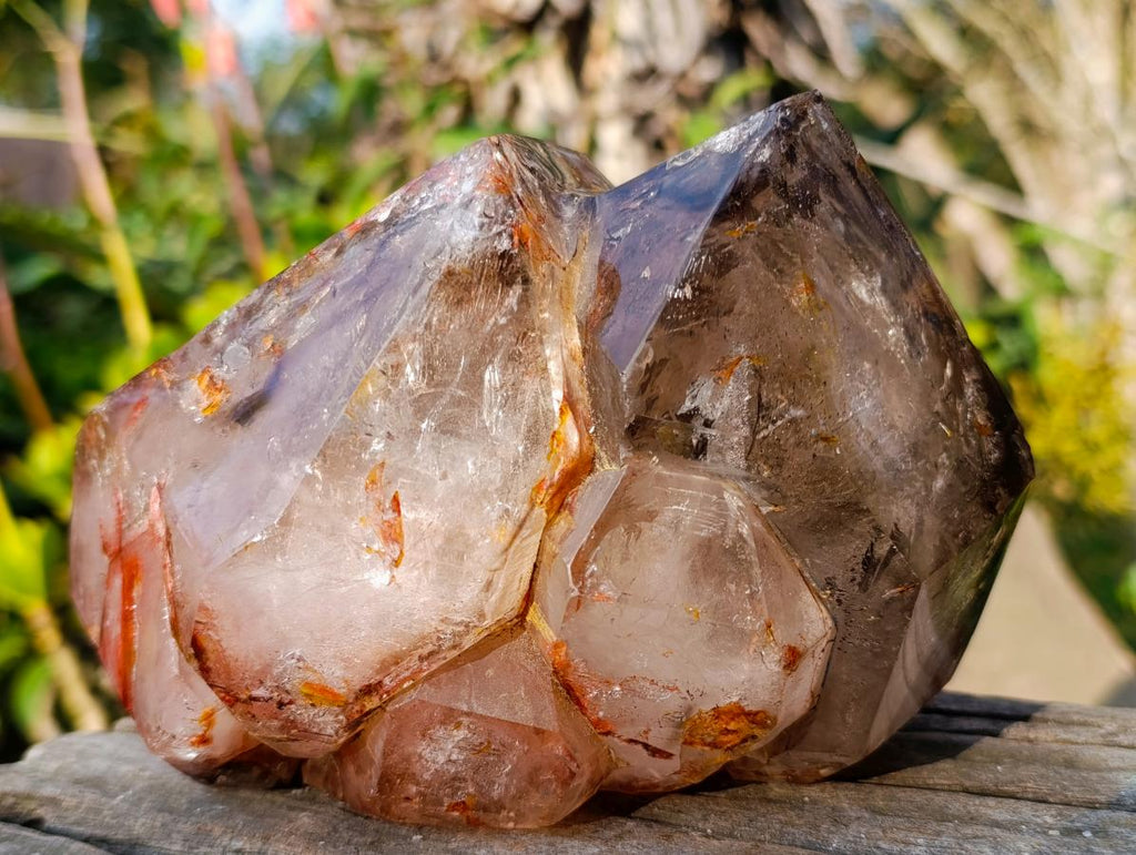 Polished Large Twin Sceptre Smokey Window Quartz Crystal with Enhydro x 1 From Akansobe, Madagascar