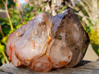 Polished Large Twin Sceptre Smokey Window Quartz Crystal with Enhydro x 1 From Akansobe, Madagascar