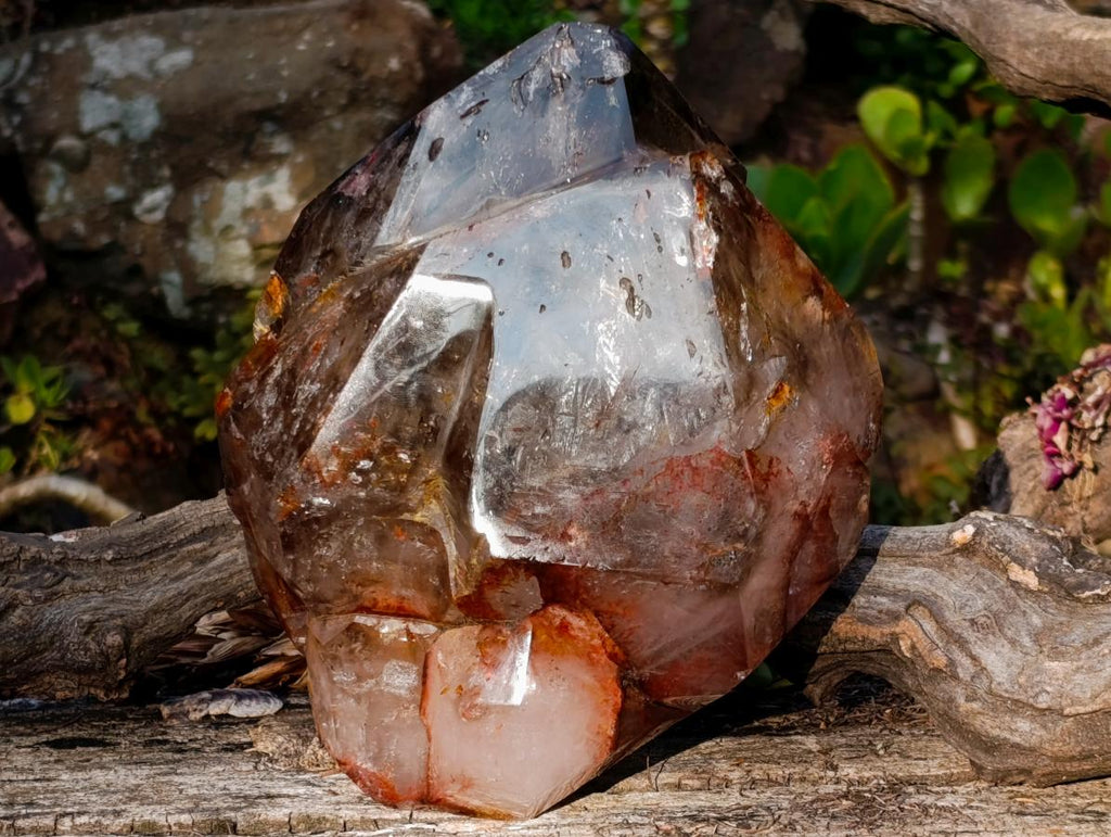 Polished Large Twin Sceptre Smokey Window Quartz Crystal with Enhydro x 1 From Akansobe, Madagascar