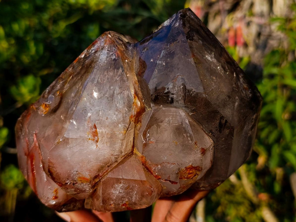 Polished Large Twin Sceptre Smokey Window Quartz Crystal with Enhydro x 1 From Akansobe, Madagascar