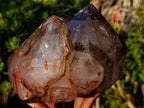 Polished Large Twin Sceptre Smokey Window Quartz Crystal with Enhydro x 1 From Akansobe, Madagascar