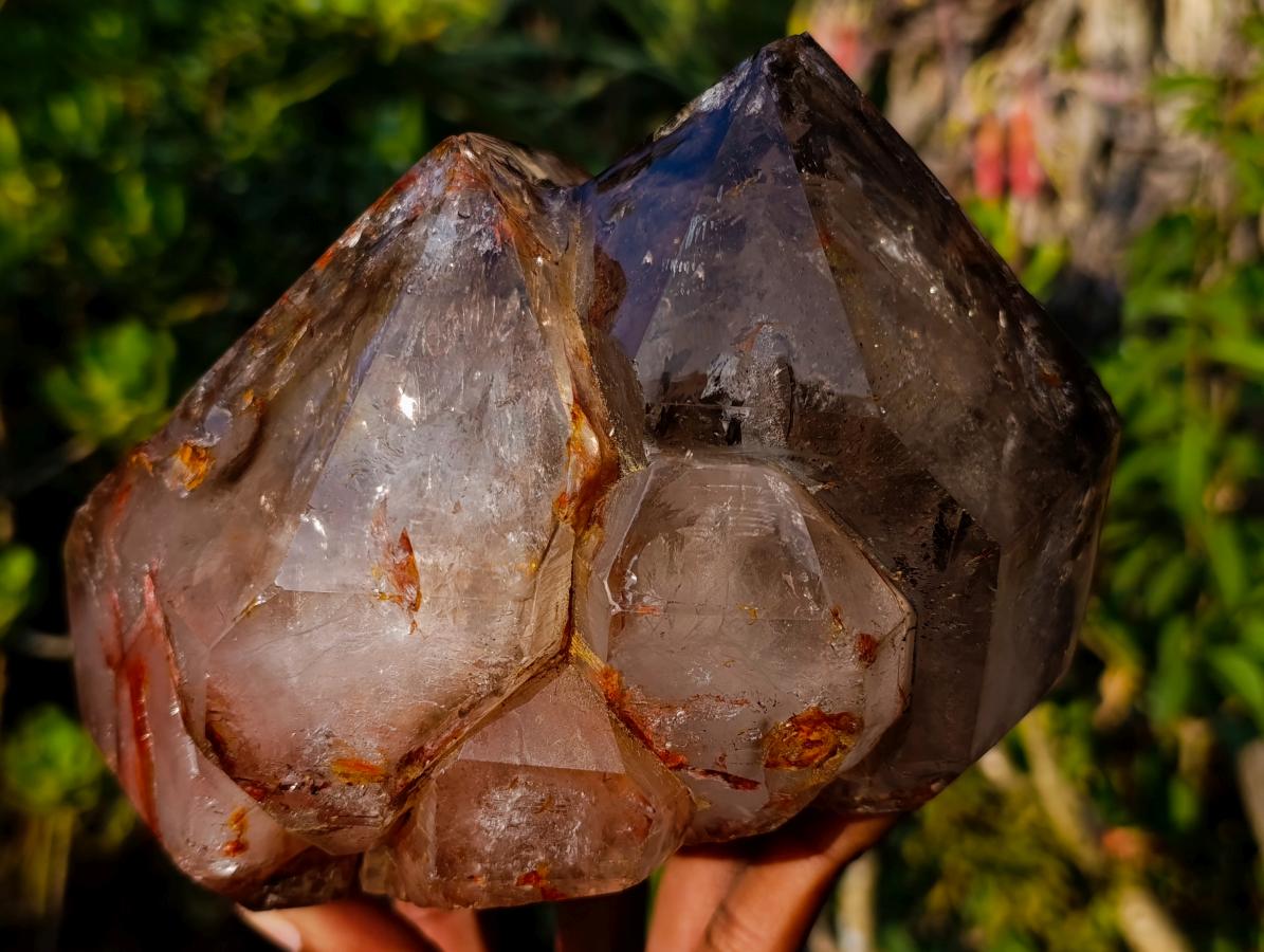 Polished Large Twin Sceptre Smokey Window Quartz Crystal with Enhydro x 1 From Akansobe, Madagascar