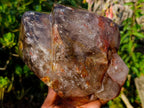 Polished Large Twin Sceptre Smokey Window Quartz Crystal with Enhydro x 1 From Akansobe, Madagascar