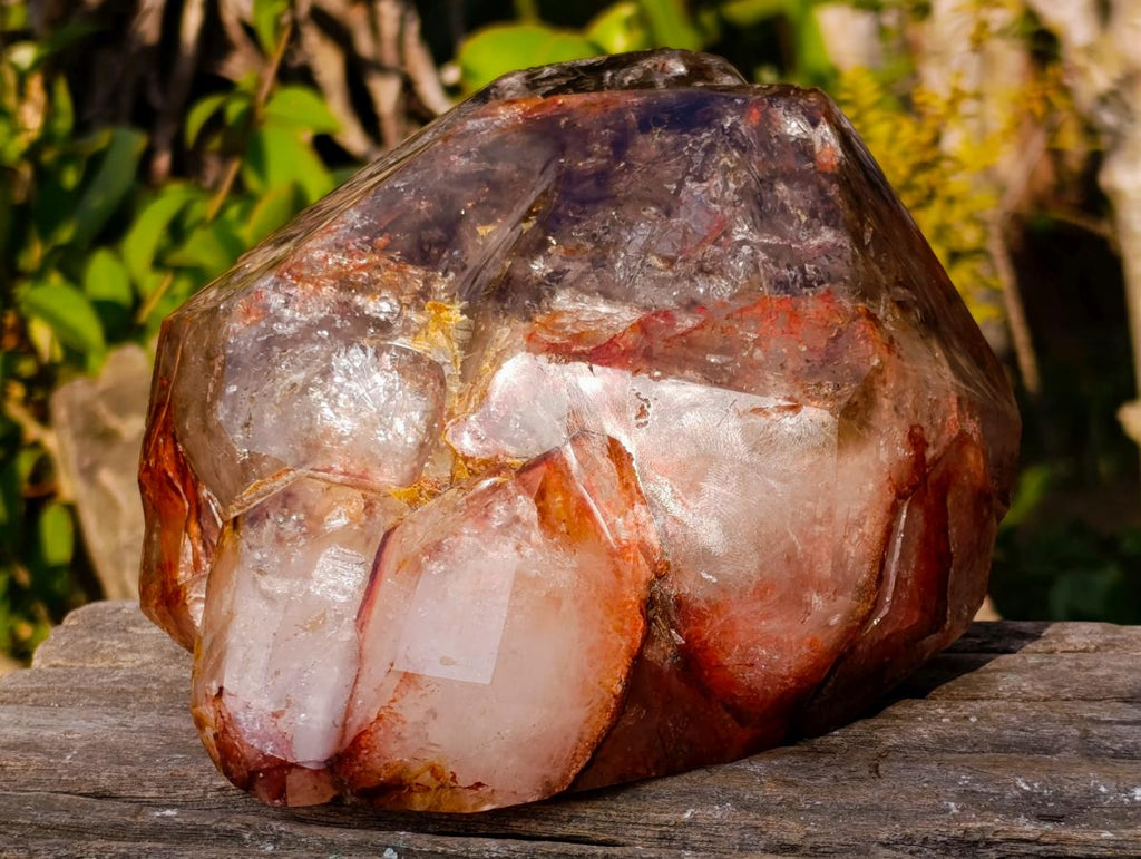 Polished Large Twin Sceptre Smokey Window Quartz Crystal with Enhydro x 1 From Akansobe, Madagascar