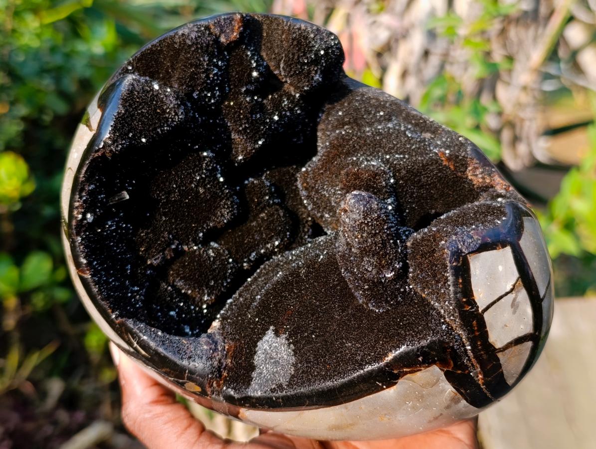 Polished and Natural Septerye Sauvage Dragons Egg x 1 From Mahajanga, Madagascar