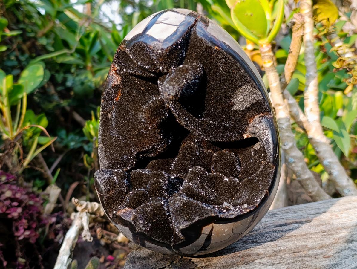 Polished and Natural Septerye Sauvage Dragons Egg x 1 From Mahajanga, Madagascar