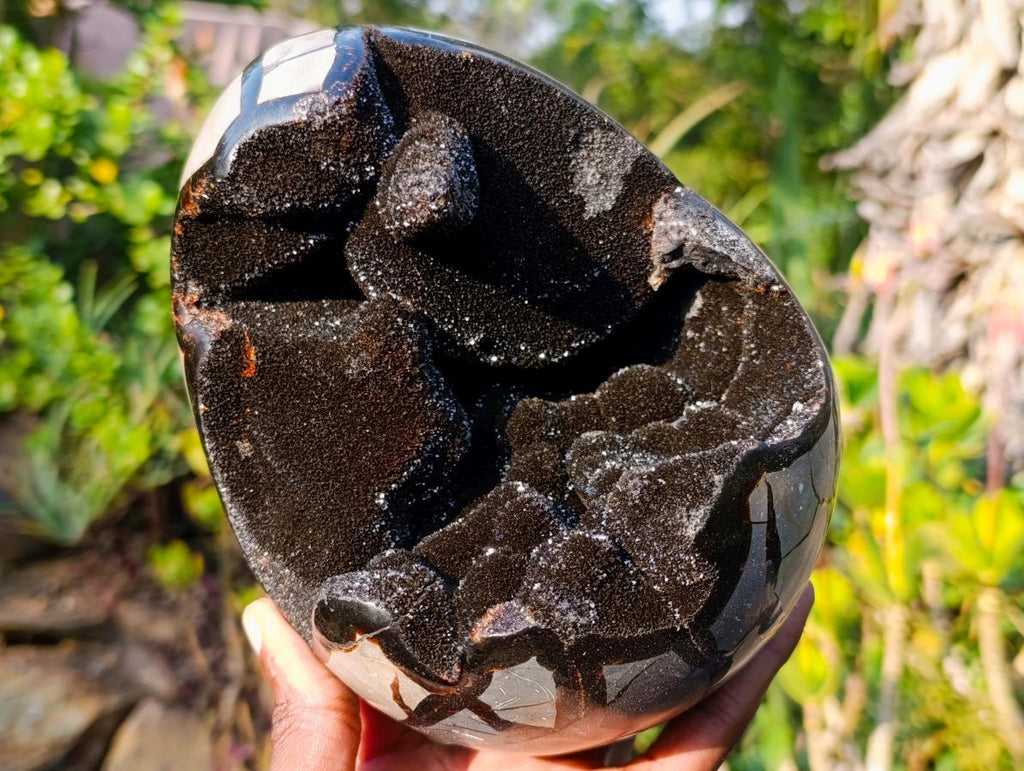Polished and Natural Septerye Sauvage Dragons Egg x 1 From Mahajanga, Madagascar