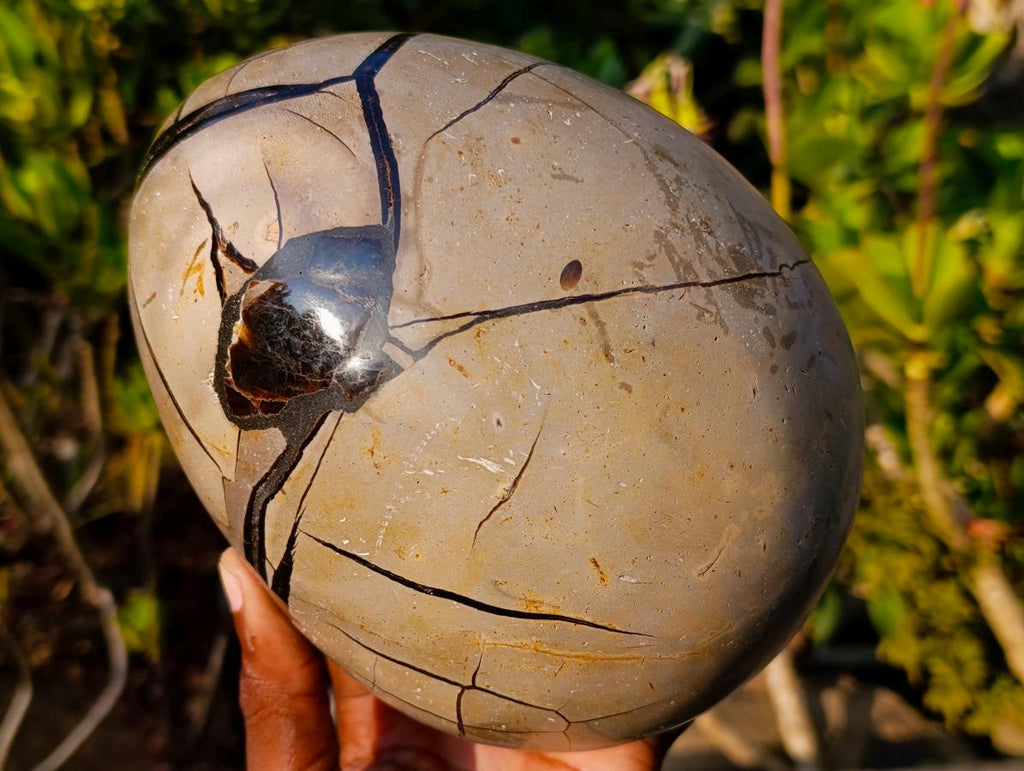Polished and Natural Septerye Sauvage Dragons Egg x 1 From Mahajanga, Madagascar