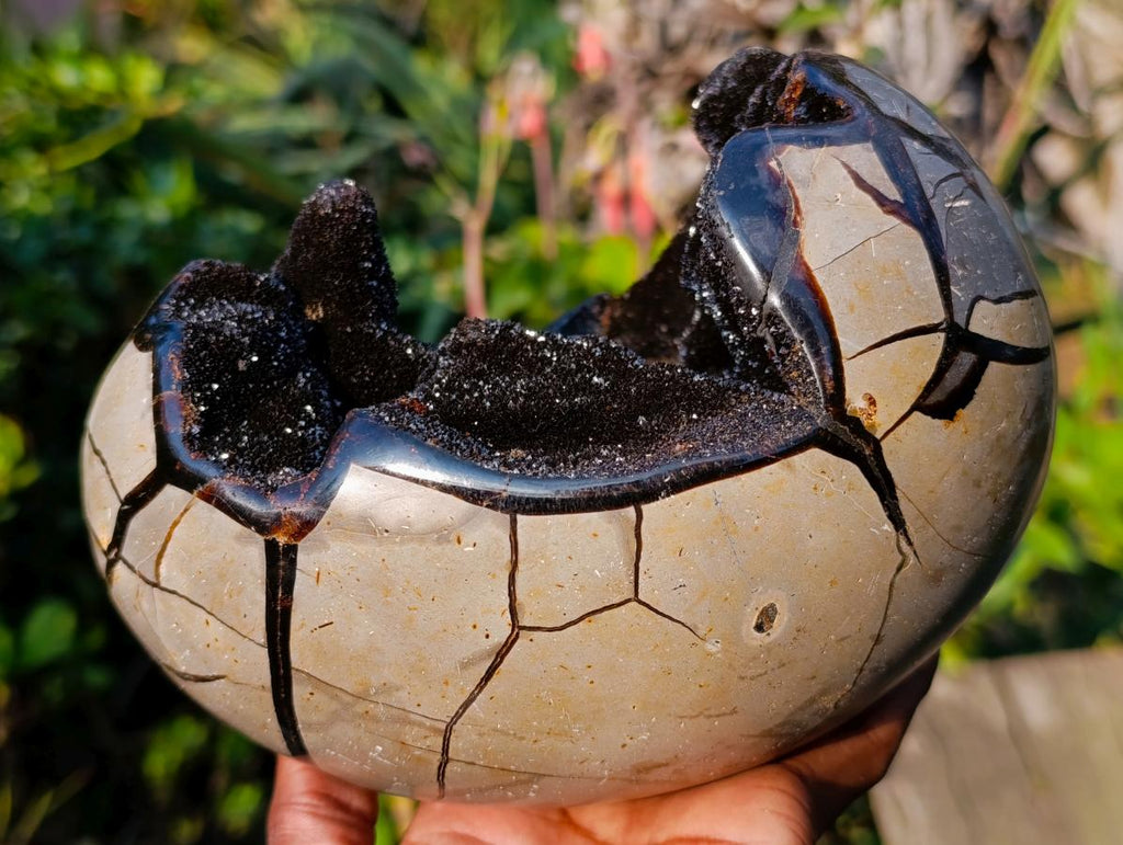 Polished and Natural Septerye Sauvage Dragons Egg x 1 From Mahajanga, Madagascar