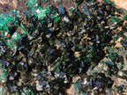 Natural Cabinet Size Crystalline Malachite Specimen x 1 From Tenke Fungurume, Congo