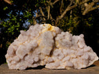 Natural Large White Drusy Spirit Quartz Crystal Plate Specimen x 1 From Boekenhouthoek, South Africa