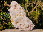 Natural Large White Drusy Spirit Quartz Crystal Plate Specimen x 1 From Boekenhouthoek, South Africa
