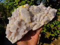 Natural Large White Drusy Spirit Quartz Crystal Plate Specimen x 1 From Boekenhouthoek, South Africa