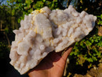 Natural Large White Drusy Spirit Quartz Crystal Plate Specimen x 1 From Boekenhouthoek, South Africa