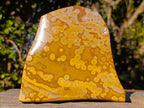 Polished Large Orbicular Ocean Jasper Standing Display Piece x 1 From Madagascar