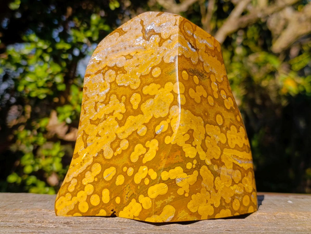 Polished Large Orbicular Ocean Jasper Standing Display Piece x 1 From Madagascar