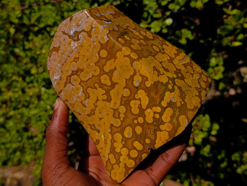 Polished Large Orbicular Ocean Jasper Standing Display Piece x 1 From Madagascar