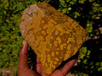 Polished Large Orbicular Ocean Jasper Standing Display Piece x 1 From Madagascar
