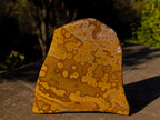 Polished Large Orbicular Ocean Jasper Standing Display Piece x 1 From Madagascar
