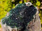 Natural Large Libethenite Crystals on Dolomite Matrix Specimen x 1 From Kolwezi, Congo