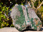 Natural Large Libethenite Crystals on Dolomite Matrix Specimen x 1 From Kolwezi, Congo