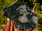 Natural Large Libethenite Crystals on Dolomite Matrix Specimen x 1 From Kolwezi, Congo