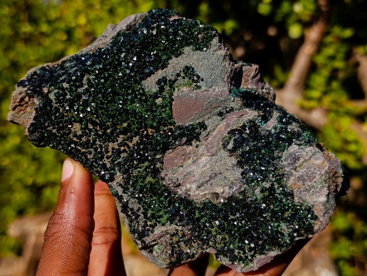 Natural Large Libethenite Crystals on Dolomite Matrix Specimen x 1 From Kolwezi, Congo