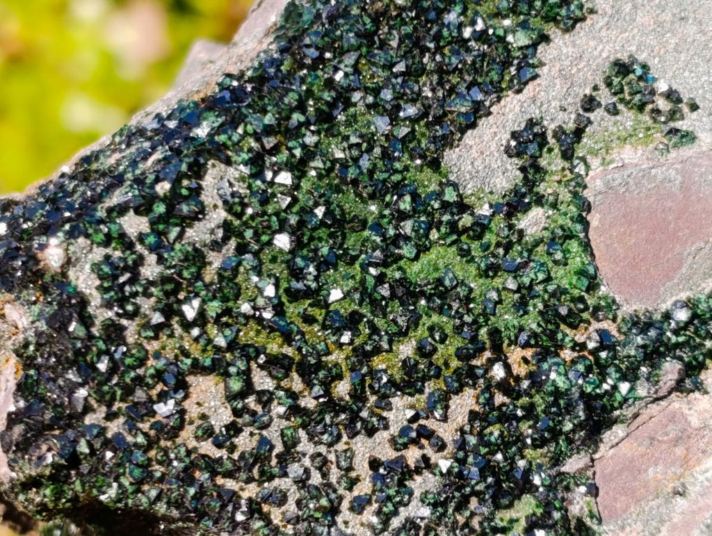 Natural Large Libethenite Crystals on Dolomite Matrix Specimen x 1 From Kolwezi, Congo