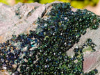 Natural Large Libethenite Crystals on Dolomite Matrix Specimen x 1 From Kolwezi, Congo