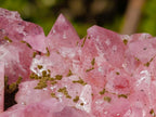 Natural Large Super Rare Cobaltoan Rhodocalcite Specimen x 1 From Mashamba West Mine, Congo