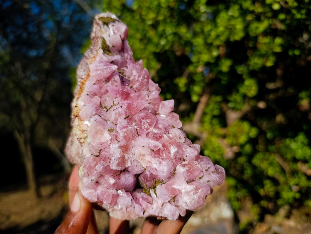 Natural Large Super Rare Cobaltoan Rhodocalcite Specimen x 1 From Mashamba West Mine, Congo