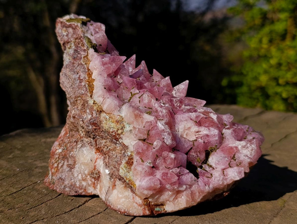Natural Large Super Rare Cobaltoan Rhodocalcite Specimen x 1 From Mashamba West Mine, Congo