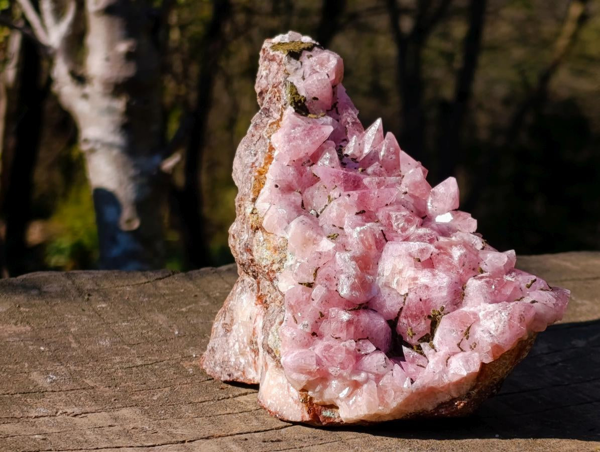 Natural Large Super Rare Cobaltoan Rhodocalcite Specimen x 1 From Mashamba West Mine, Congo