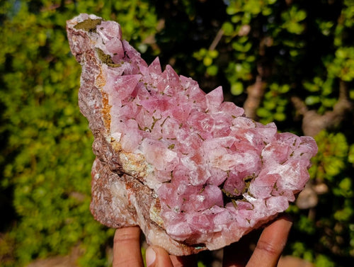 Natural Large Super Rare Cobaltoan Rhodocalcite Specimen x 1 From Mashamba West Mine, Congo