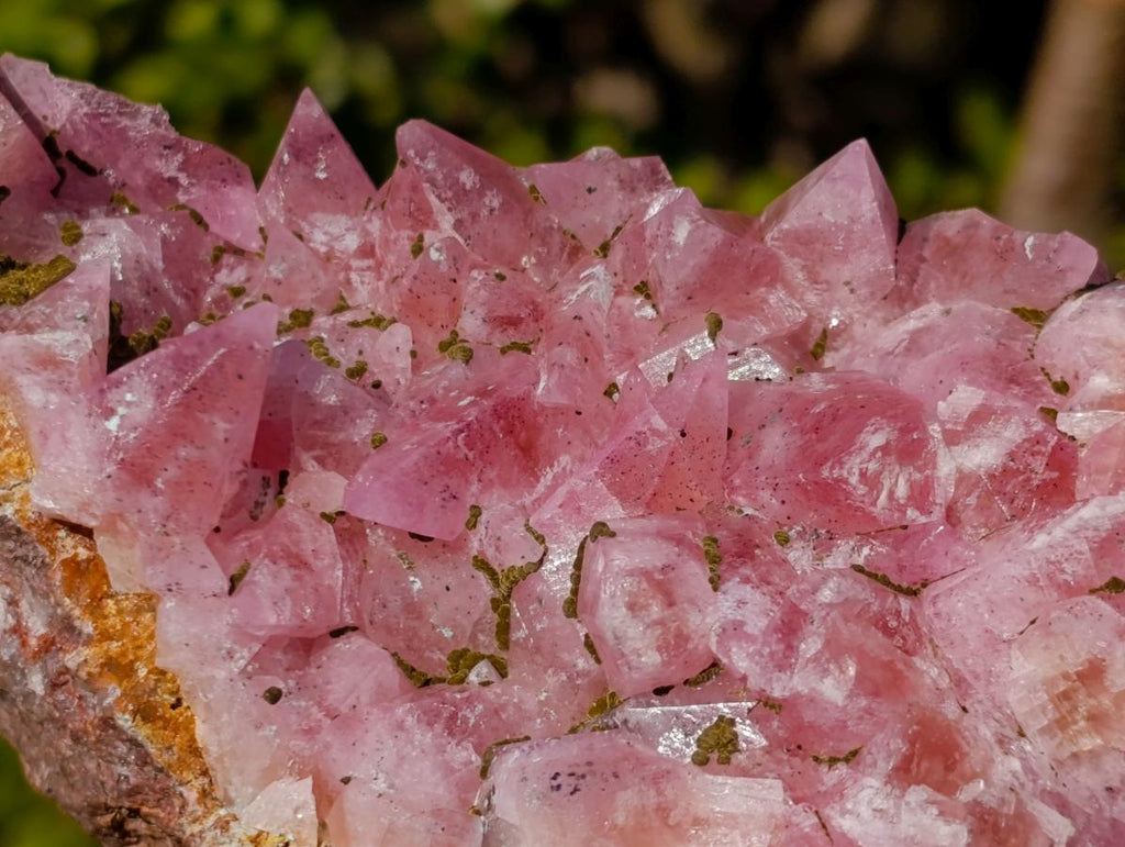 Natural Large Super Rare Cobaltoan Rhodocalcite Specimen x 1 From Mashamba West Mine, Congo