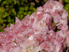 Natural Large Super Rare Cobaltoan Rhodocalcite Specimen x 1 From Mashamba West Mine, Congo