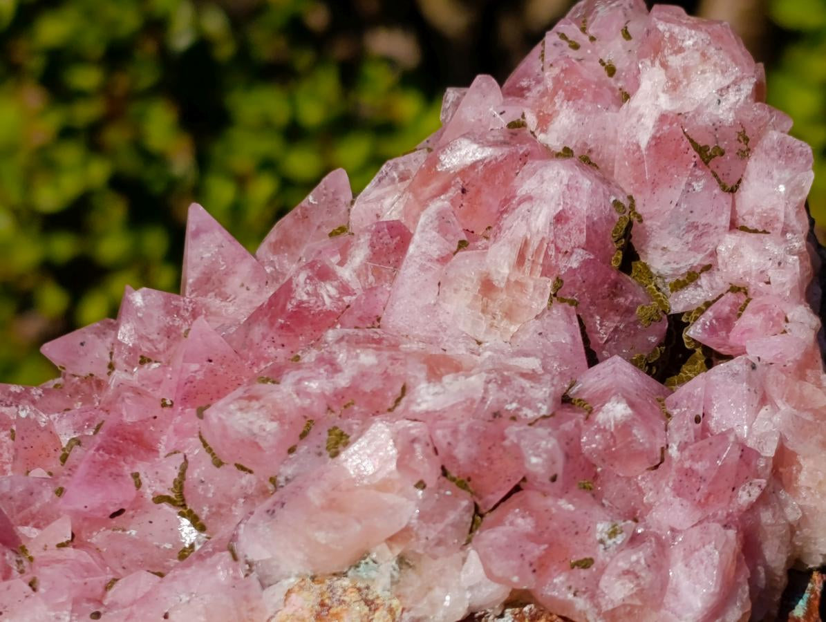 Natural Large Super Rare Cobaltoan Rhodocalcite Specimen x 1 From Mashamba West Mine, Congo