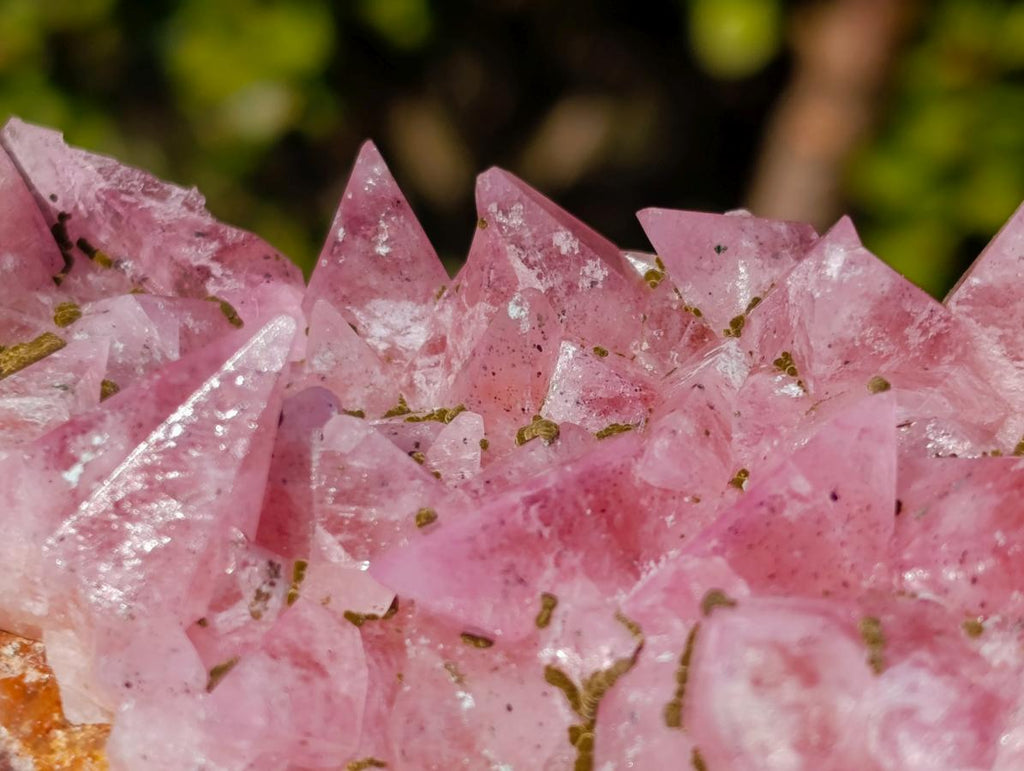 Natural Large Super Rare Cobaltoan Rhodocalcite Specimen x 1 From Mashamba West Mine, Congo
