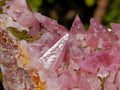 Natural Large Super Rare Cobaltoan Rhodocalcite Specimen x 1 From Mashamba West Mine, Congo