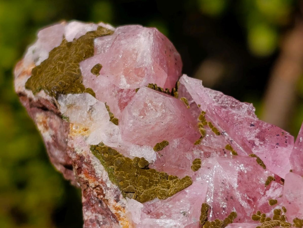 Natural Large Super Rare Cobaltoan Rhodocalcite Specimen x 1 From Mashamba West Mine, Congo