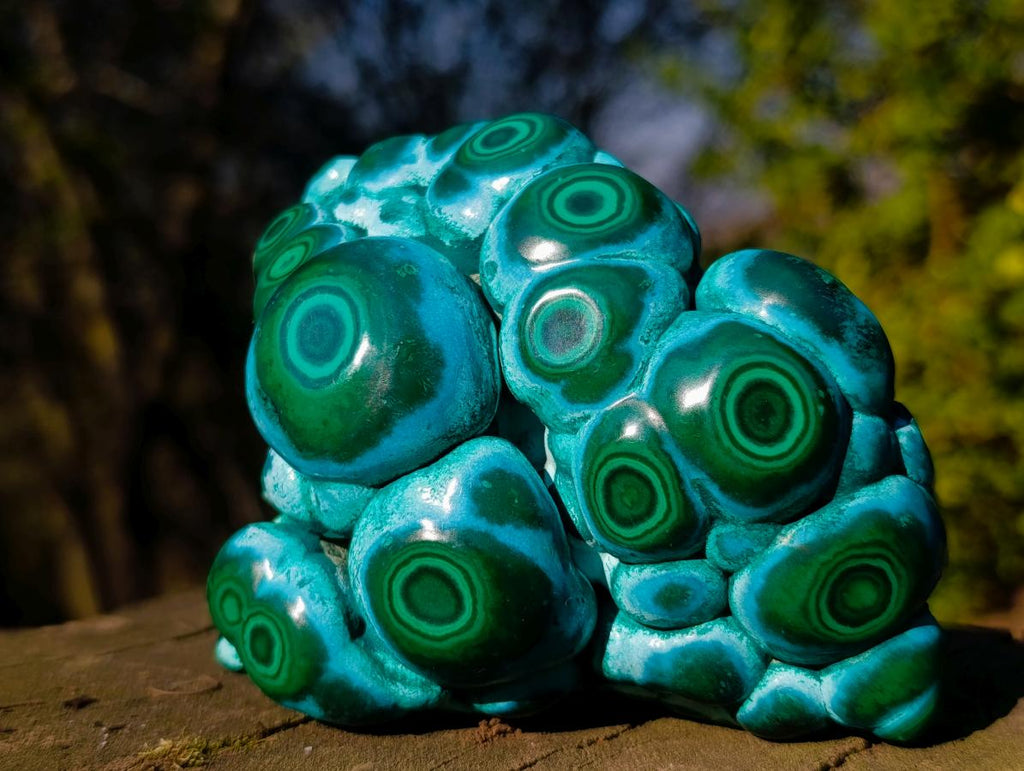 Polished "Eye" Ring Patterned Malacolla Specimen x 1 From Kulukuluku, Congo