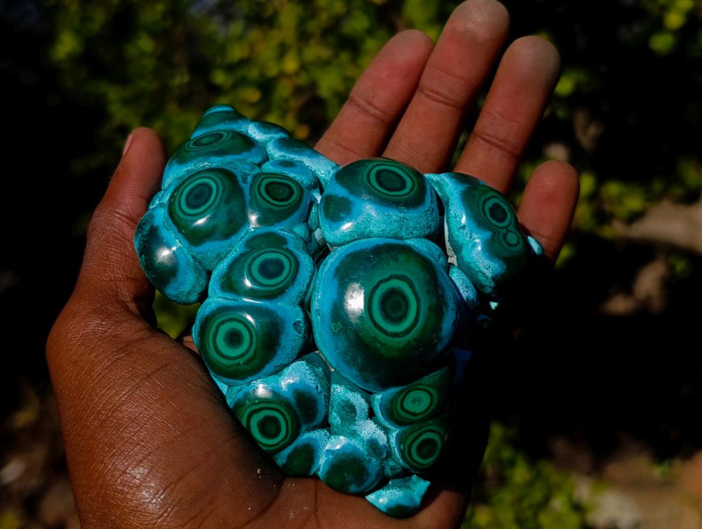 Polished "Eye" Ring Patterned Malacolla Specimen x 1 From Kulukuluku, Congo
